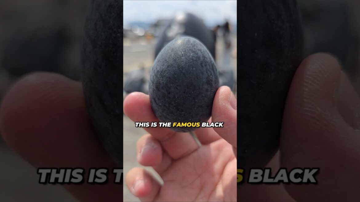 Unlock 7 Extra Years with Hakone’s Black Egg!