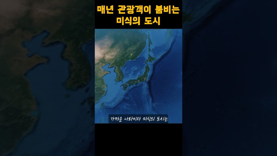 매년 사랑받는 미식의 나라 일본 여행 - japan travel