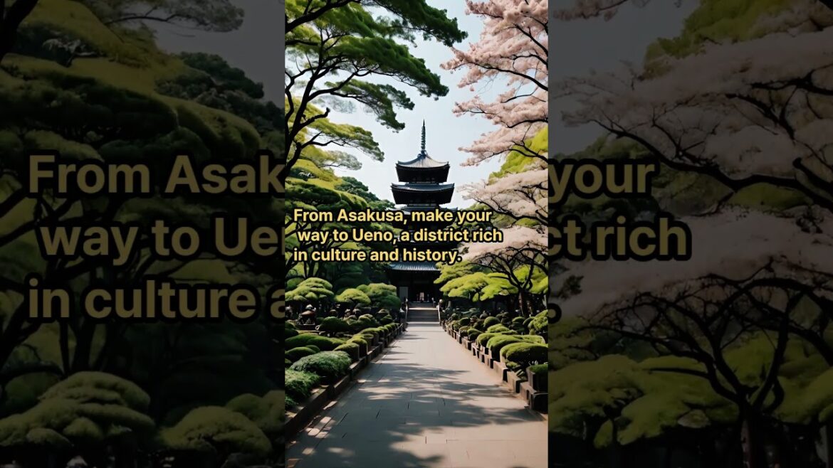 Ultimate 4 days Free Travel in Tokyo