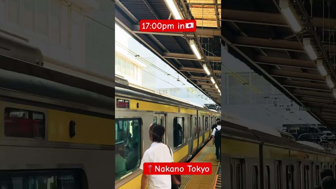 Trains world #foryou  #japantravel #travel #tokyo #metro #shortsvideo#shortsfeed #shorts #youtube