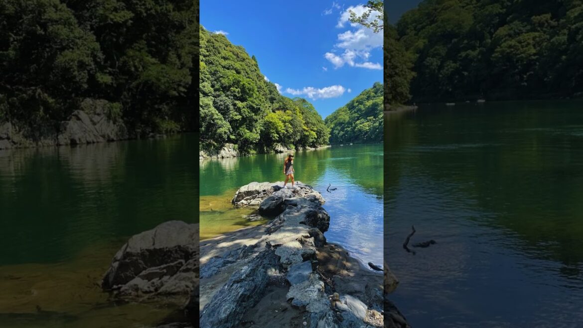 β¨ Visiting Arashiyama?  Save this itinerary! π β¨ Visiting Arashiyama?  Save this itinerary! π