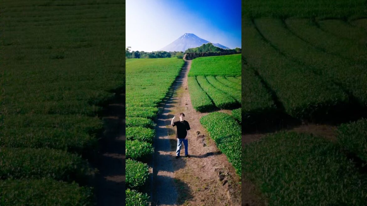 He Took My Phone and Led Me to This Spot 📱⛰️ He Took My Phone and Led Me to This Spot 📱⛰️
