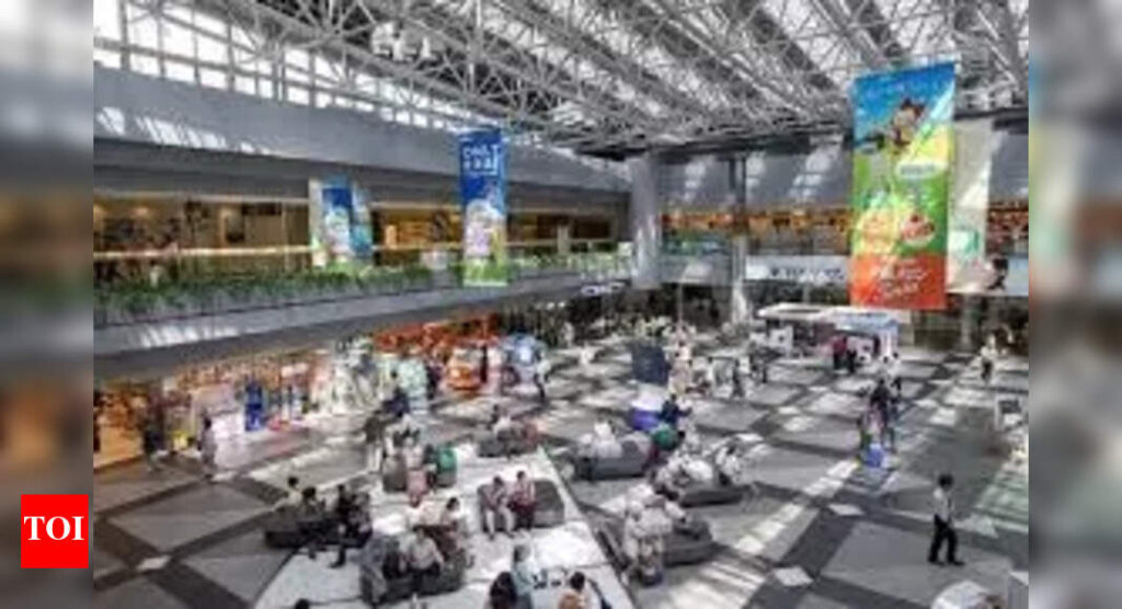 9. How missing scissors caused chaos at Hokkaido’s new Chitose airport 9. How missing scissors caused chaos at Hokkaido's new Chitose airport