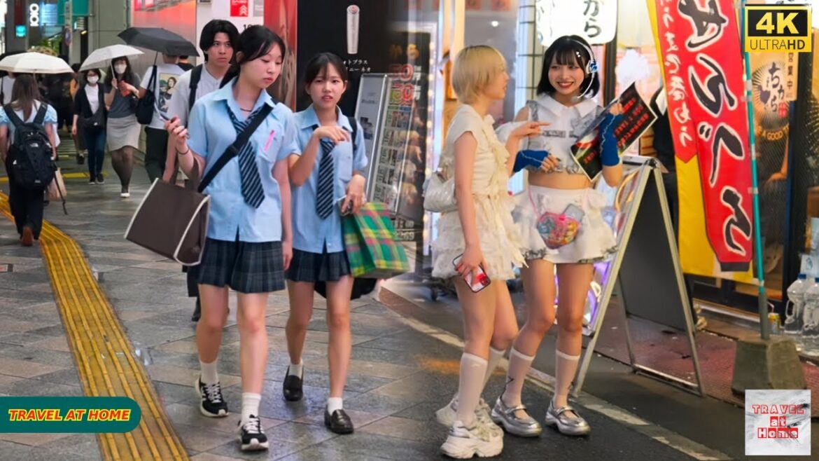 4K HDR Japan travel 2025 | Night Walk in Shinjuku(新宿)Tokyo Japan | Relaxing Natural City ambience 4K HDR Japan travel 2025 | Night Walk in Shinjuku(新宿)Tokyo Japan | Relaxing Natural City ambience