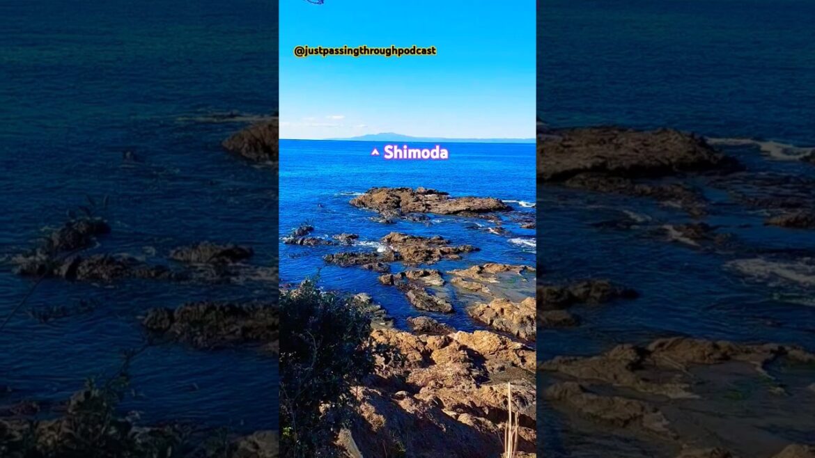 From Hayama to Shimoda. #japan #travel #cycling #december #winter
