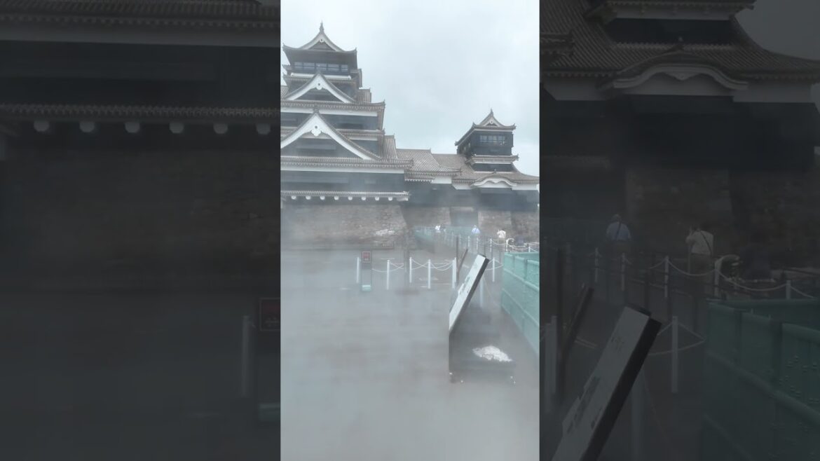 📍Kumamoto Castle, Kumamoto, Japan