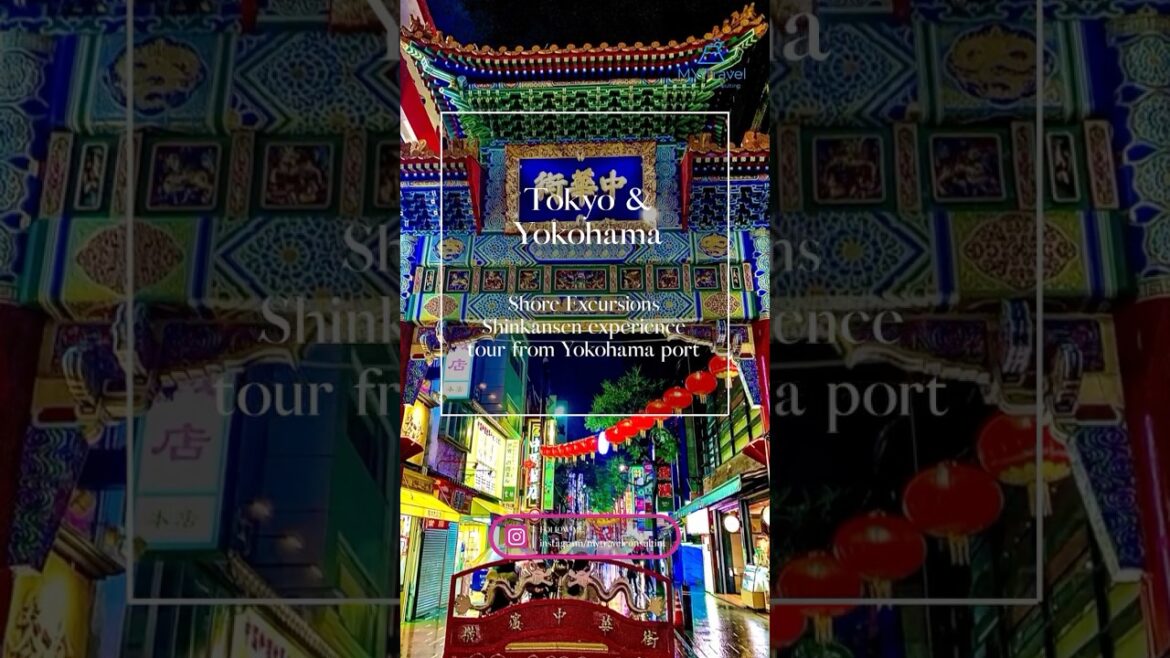 【Yokohama&Tokyo】★Shore Excursions in Japan★Shinkansen experience tour from Yokohama port