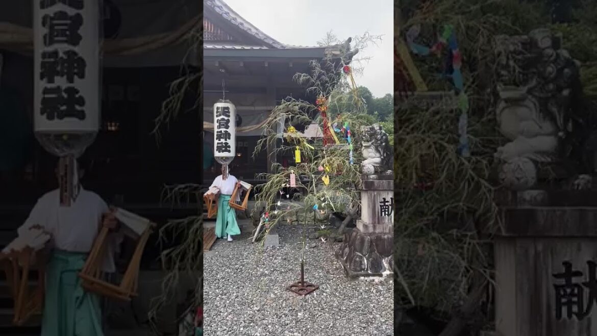 Amenomiya jinja #japan #travel #shrine #jinja #shizuoka #placetovisit Amenomiya jinja #japan #travel #shrine #jinja #shizuoka #placetovisit