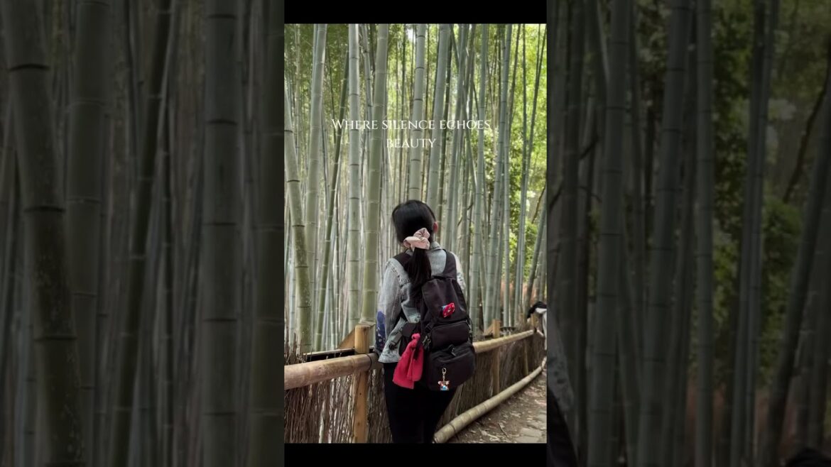 Lost in the whispering bamboo of Arashiyama Bamboo Forrest  #arashiyama #kyoto #japan #kyotojapan