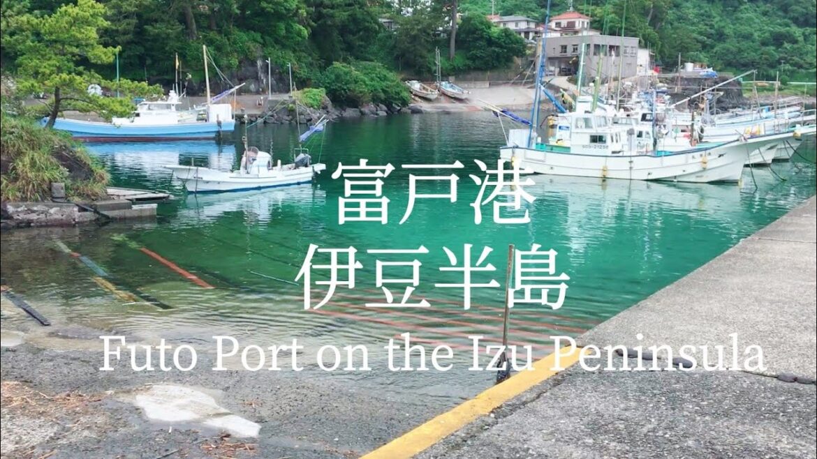 【海辺ASMR】静岡県伊東市富戸港 2025.6 Futo Port, Ito City, Shizuoka Prefecture【のどか】 【海辺ASMR】静岡県伊東市富戸港 2025.6 Futo Port, Ito City, Shizuoka Prefecture【のどか】