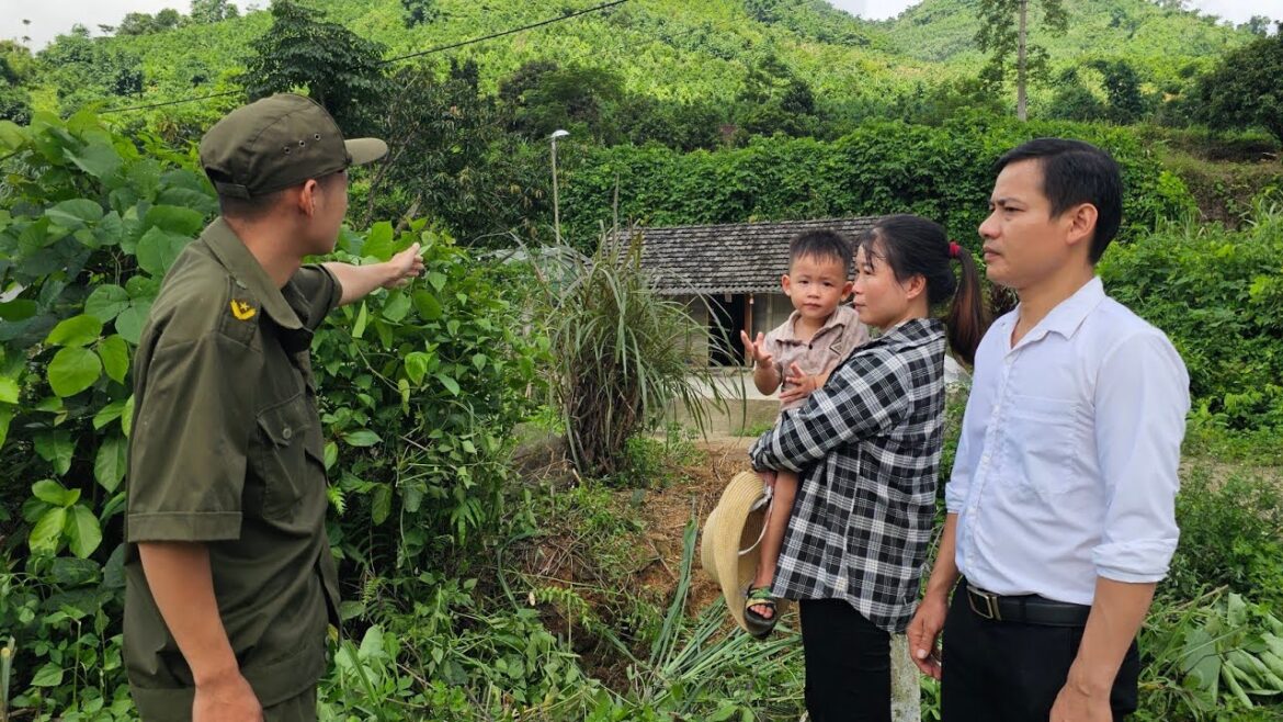 The police need to find the mastermind with the cooperation of single mother and kind man.ly tu tay The police need to find the mastermind with the cooperation of single mother and kind man.ly tu tay