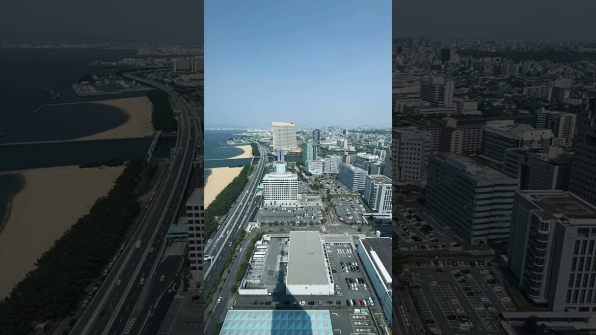 View of Fukuoka City from Fukuoka Tower. 🏙️