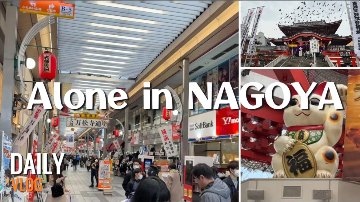 50+ Daily Vlog | Traditional Japanese Shopping Street - Osu District #japan #dailyvlogs #nagoya