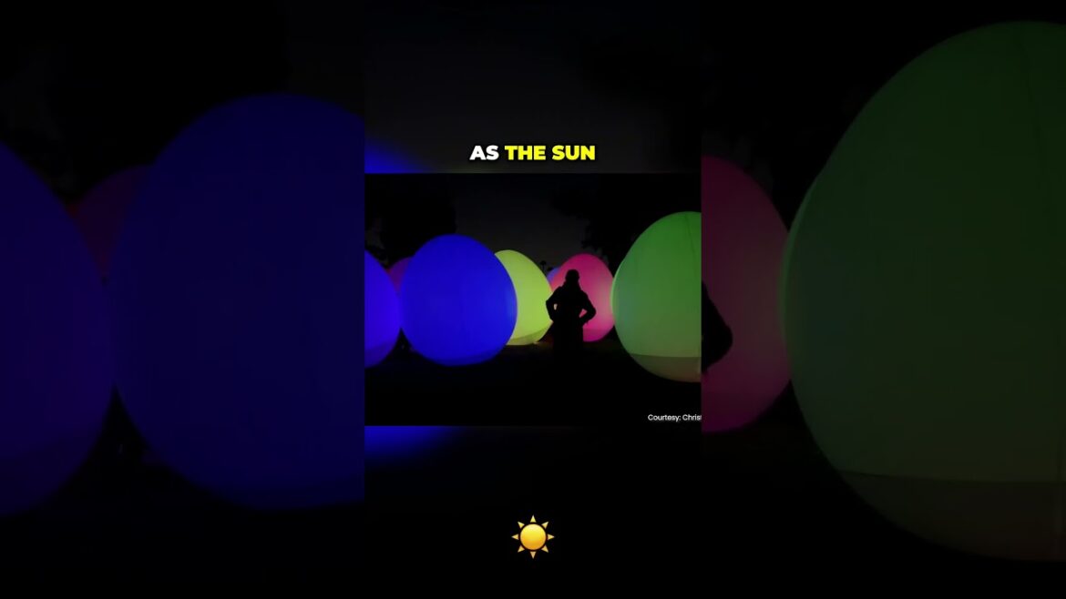 Osaka TeamLab Botanical Garden | Digital Art in Nature Osaka TeamLab Botanical Garden | Digital Art in Nature