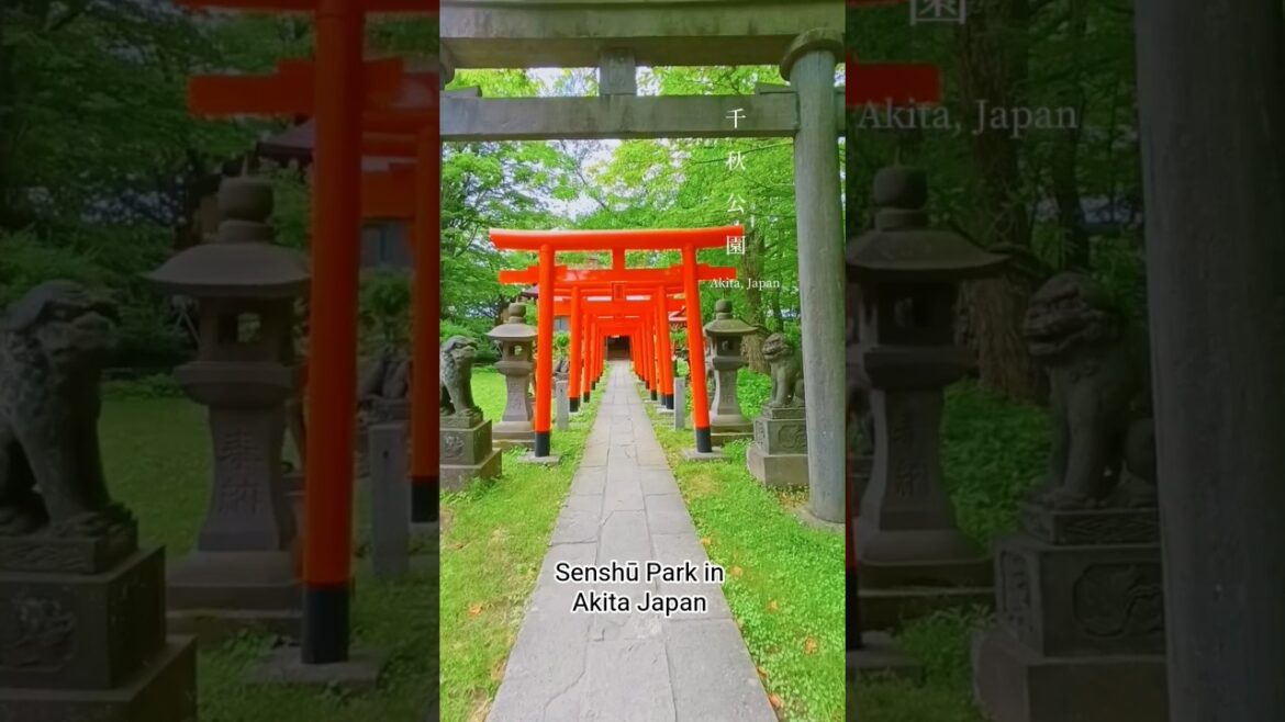 Senshu Park di Akita Jepang #taman #senshu #akita #jepang #travel #healing #jalanjalan