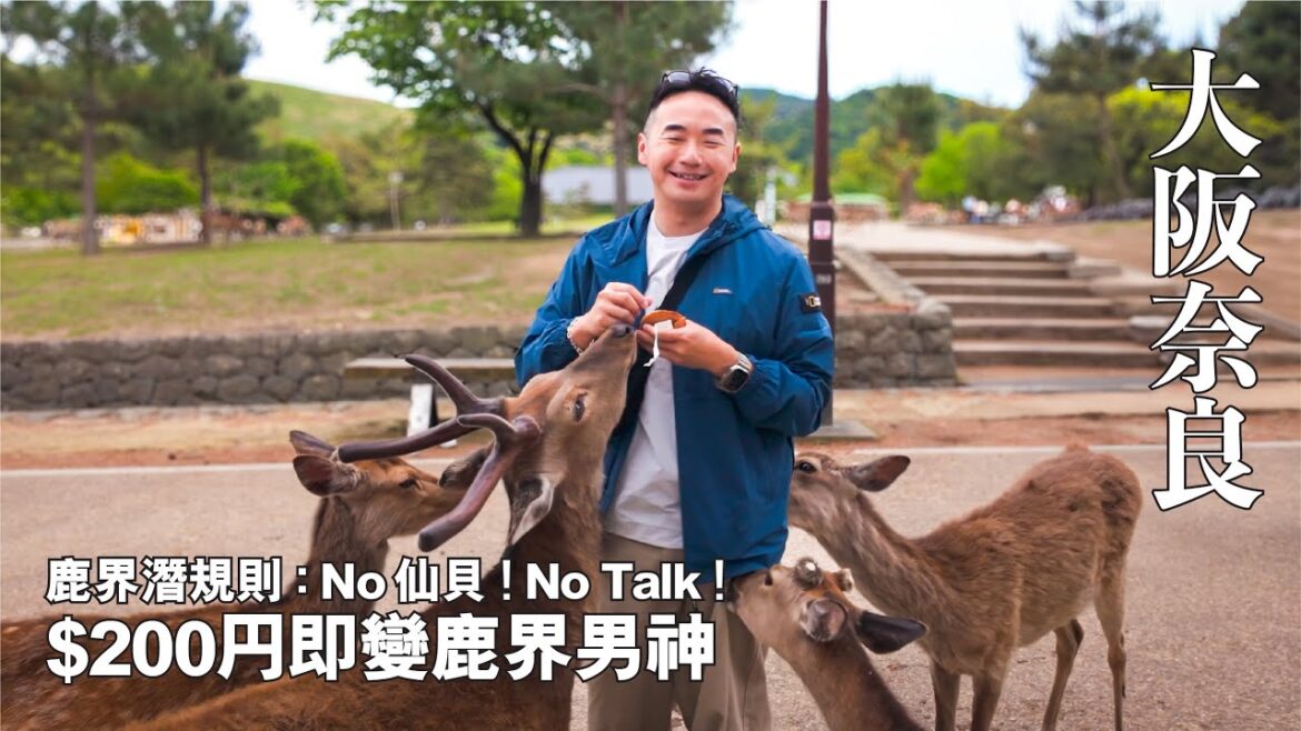【大阪/奈良】 鹿界潛規則 : 冇仙貝 = 冇friend做 | 200円即變鹿界男神|大阪檸檬牛舌 #奈良 #大阪 #奈良自由行 #奈良餵鹿 #日本自由行 【大阪/奈良】 鹿界潛規則 : 冇仙貝 = 冇friend做 | 200円即變鹿界男神|大阪檸檬牛舌 #奈良 #大阪 #奈良自由行 #奈良餵鹿 #日本自由行