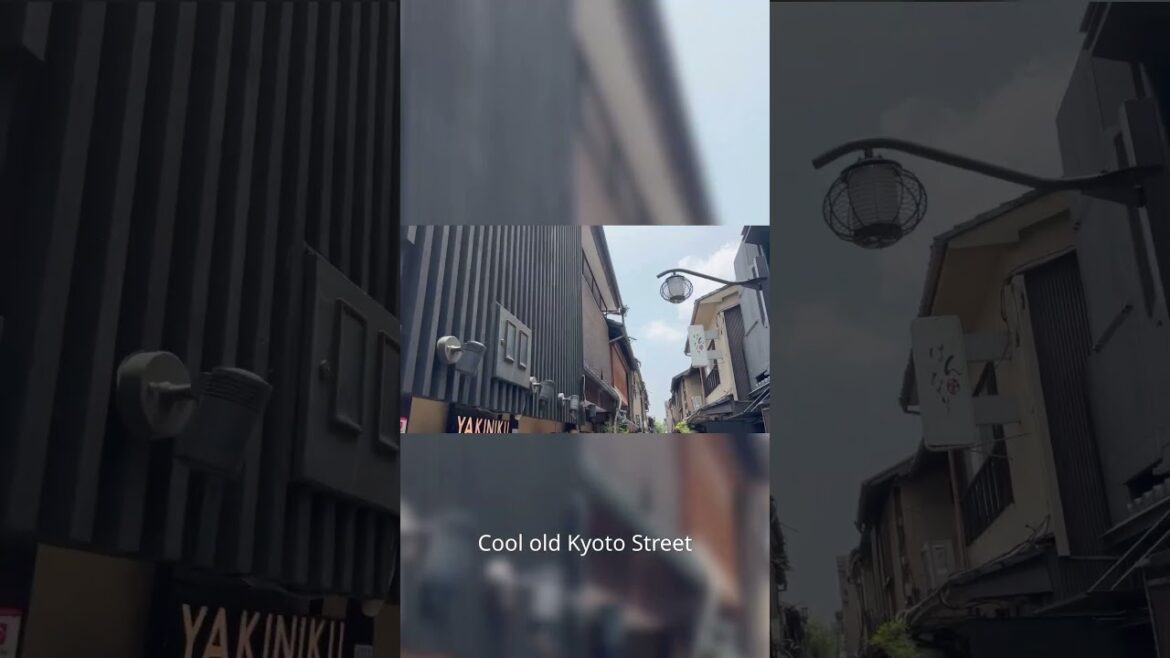 [Common Travel episode 96] The Last Day in Kyoto #kinkakuji #kyoto #kansaiairport