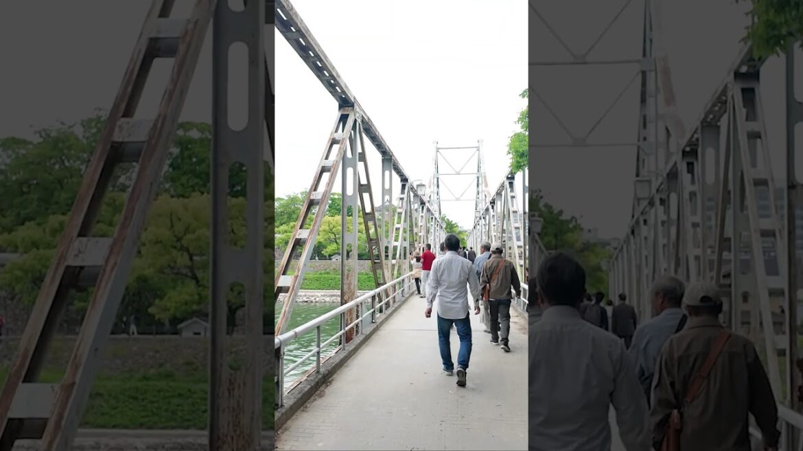 Okayama Korakuen Garden｜Okayama｜JAPAN｜岡山後樂園｜岡山 #okayama #japan #japanese