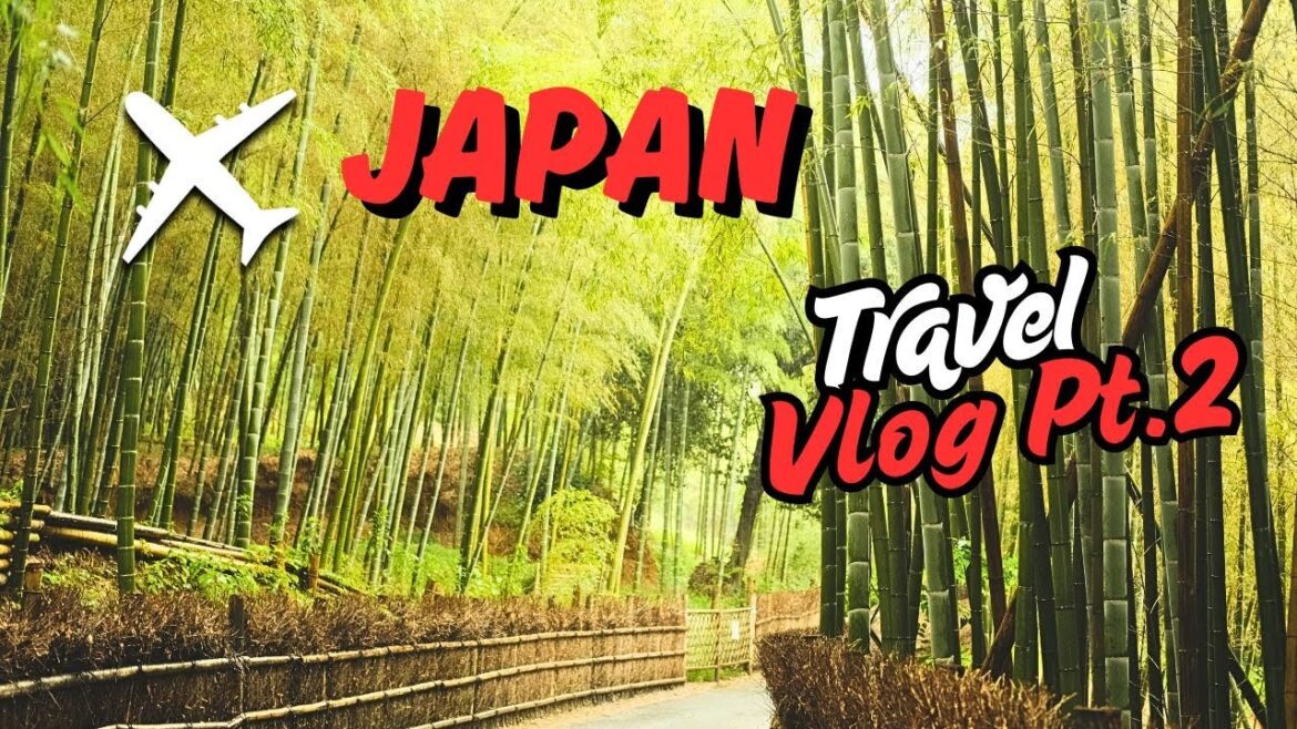 Kyoto Travel Vlog 2: Kyoto’s Secret Side – Shrine, Forest, Chaos