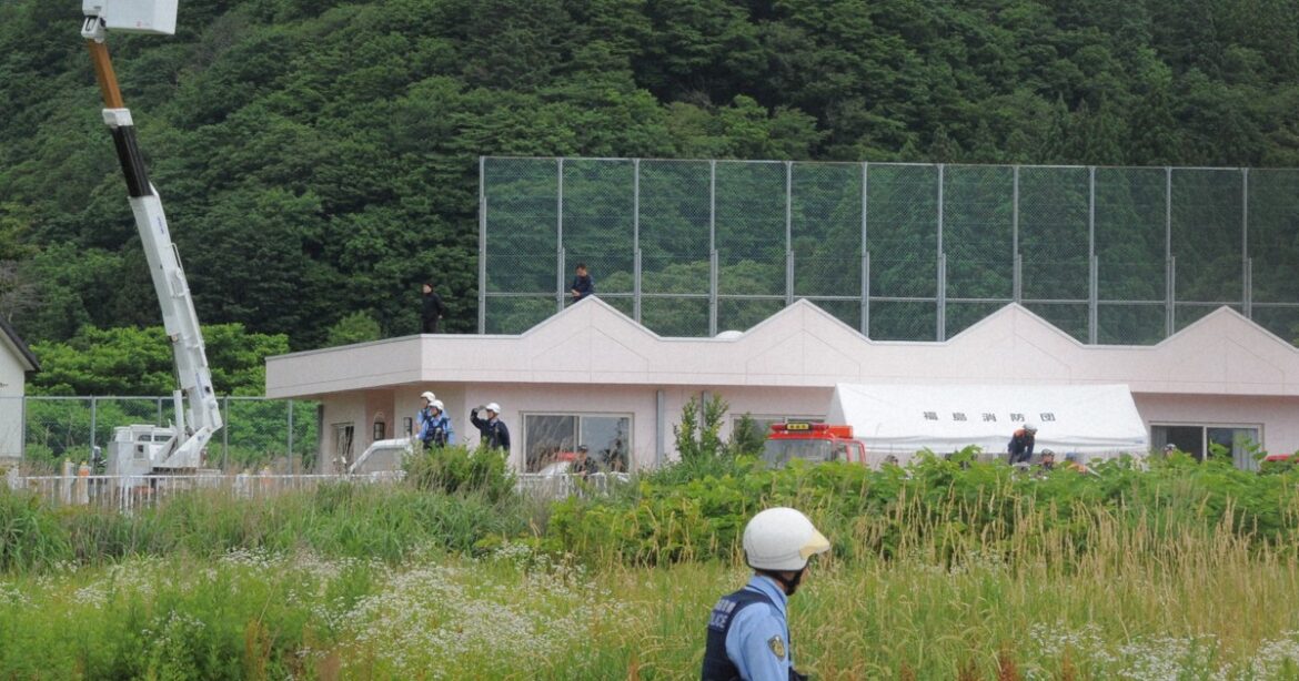 Man fatally attacked by brown bear near town hall in Hokkaido Man fatally attacked by brown bear near town hall in Hokkaido
