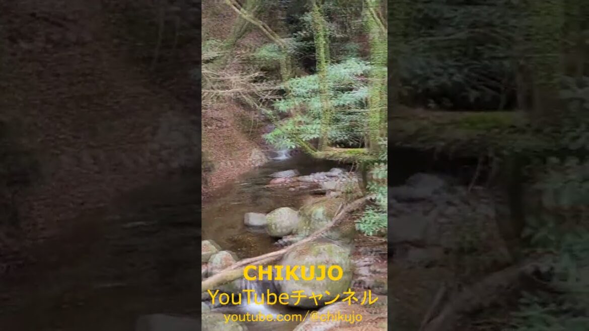 蔵内九         kyu kurauchi             ♫ 竈門炭治郎  Kamado Tanjirou no Uta 蔵内九         kyu kurauchi             ♫ 竈門炭治郎  Kamado Tanjirou no Uta