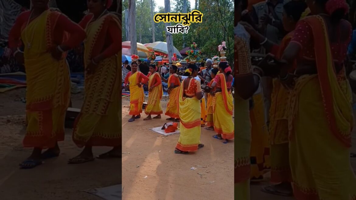 সোনাঝুরি হাট #shorts #travel #explore #shantiniketansonajhuri #trending #foryou #fyp #viral #nature