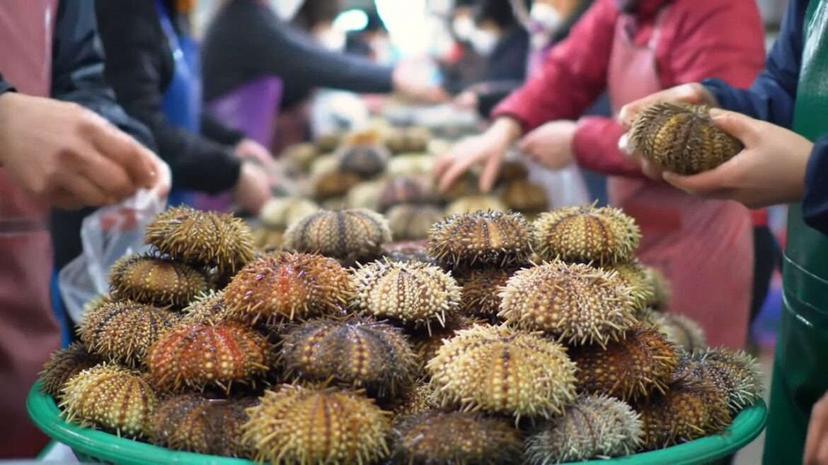 You Won’t Believe These SECRET Japanese Street Foods! 😱🍢 You Won’t Believe These SECRET Japanese Street Foods! 😱🍢