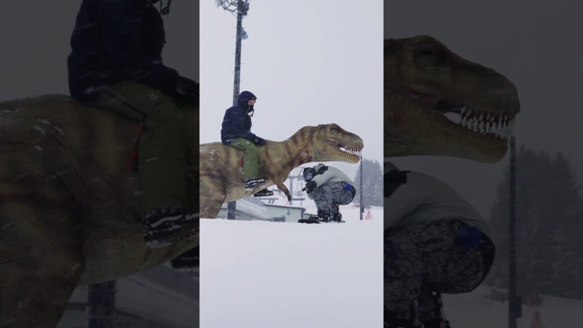 Underrated, Uncrowded, Unbelievable – Ride Morioka with Mint Tours