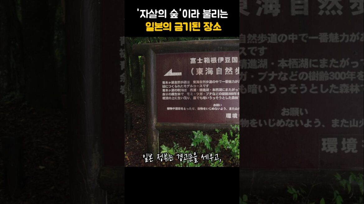 일본의 금지된 장소 일본 여행 - Japan travel