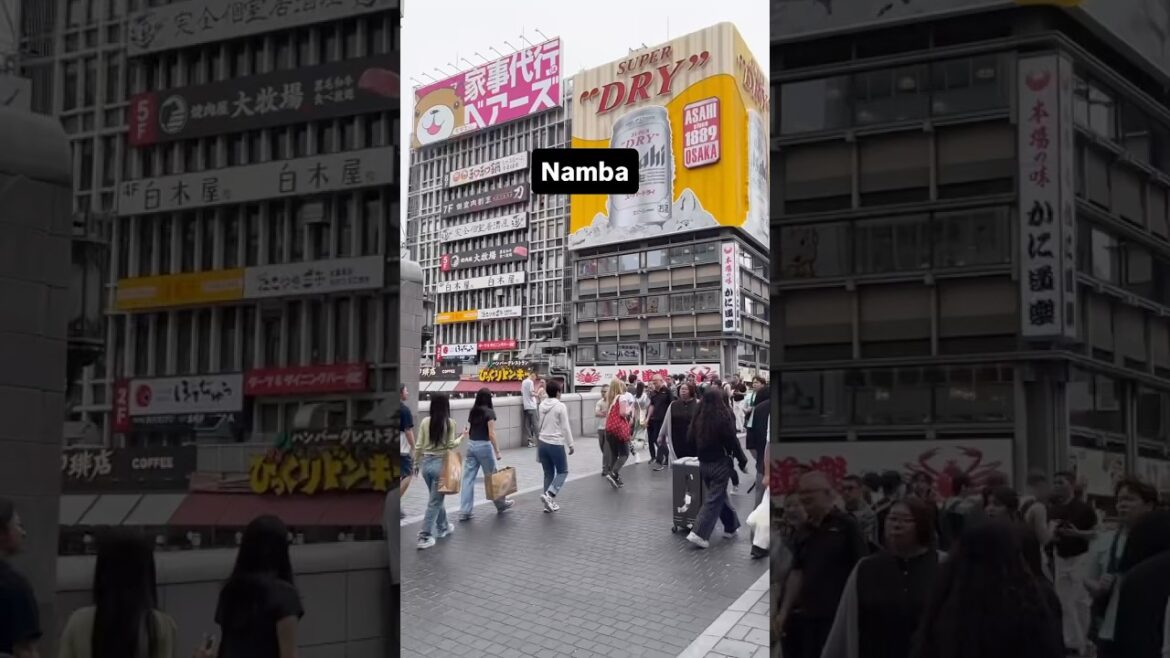Osaka #marinjapan #travel #japantravel #japan #namba #glico #dotonbori #explore #explorepage #osaka