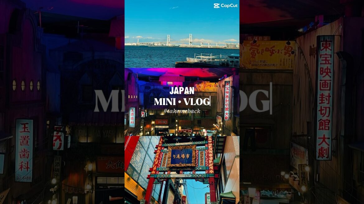 #japan #japanevisa #travel #travelvlog #trendingshorts #travelshorts