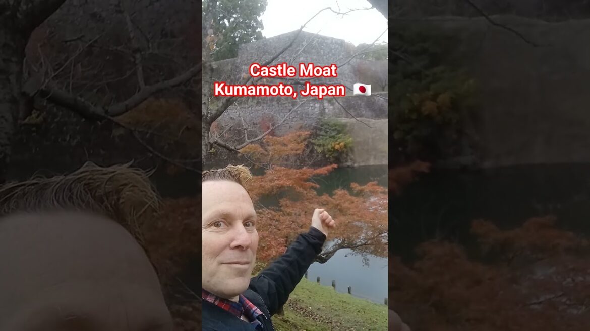 🇯🇵 KUMAMOTO CASTLE MOAT  Kumamoto Japan #kumamoto #japanesecastle #japantourism #castle #japantravel