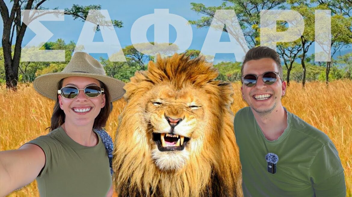 Κάναμε σαφάρι στην Αφρική!