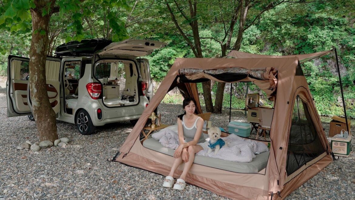 시원한 계곡 앞 경차와 텐트로 강아지와 쉽지않은 여름캠핑 즐기기 | 냉모밀과 메밀전| | 캘리그리피와 수채화