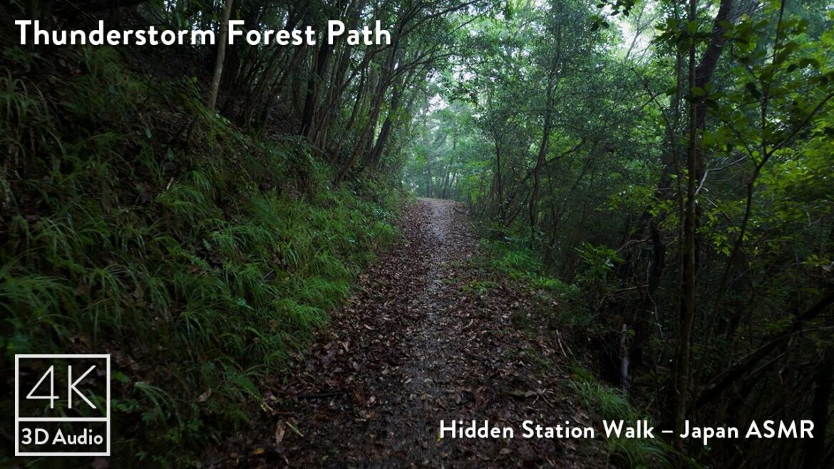 Lost in a Thunderstorm | Hidden Forest Walk in Rural Japan ASMR Lost in a Thunderstorm | Hidden Forest Walk in Rural Japan ASMR