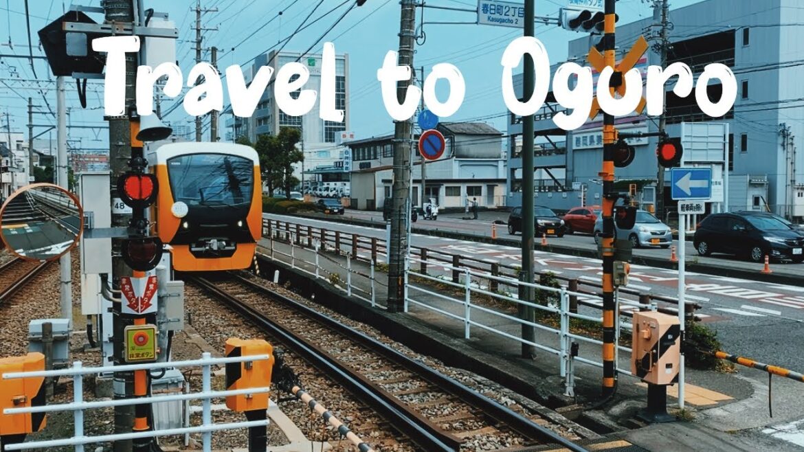 Travel to Oguro, Shizuoka Japan 🇯🇵