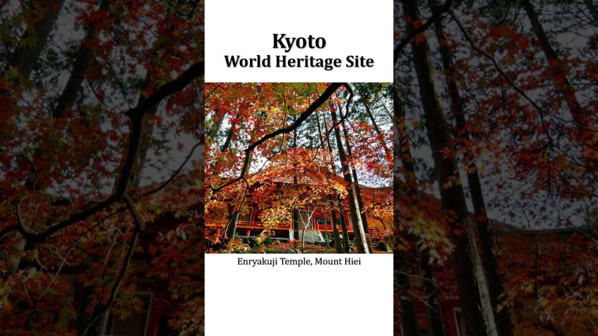 A quick look at Kyoto's World Heritage sites #worldheritagesites  #kyotovlog #unescosites