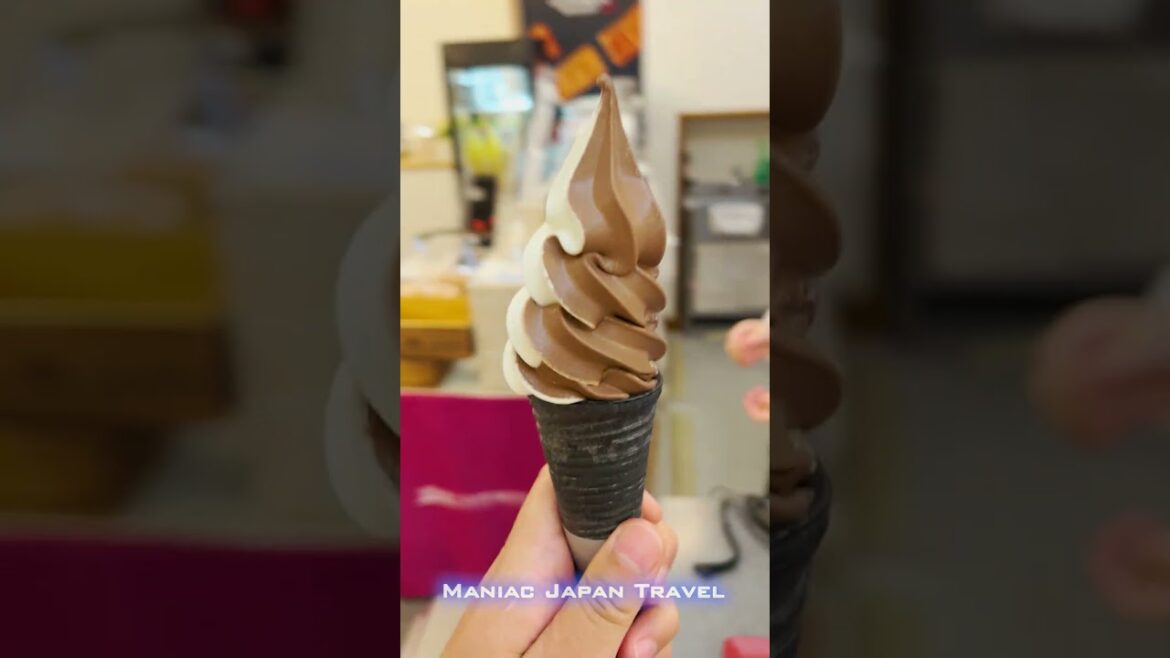 北海道 函館 元町ソフトクリーム２選 2025.7.12