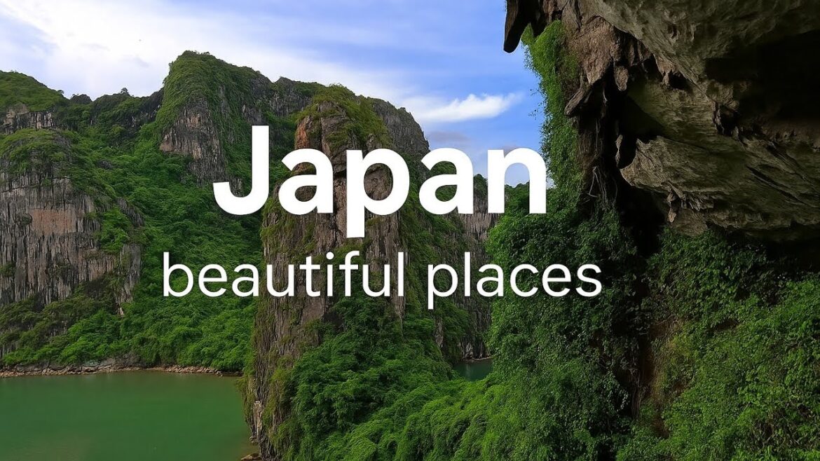 Japan Travel Vlog: Best Places to Visit, Unique Culture & Traditional Japanese Food 🍣🇯🇵 Japan Travel Vlog: Best Places to Visit, Unique Culture & Traditional Japanese Food 🍣🇯🇵