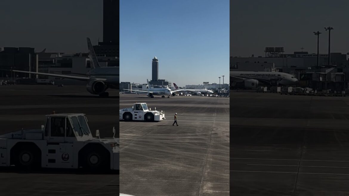 Narita Airport #shorts #travel #short #airplane #koreanair #japan #tokyo