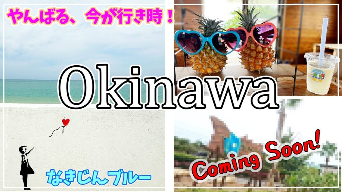 【沖縄北部】“なきじんブルー”の絶景ビーチ&話題のジャングリア周辺を満喫!やんばる旅・穴場ガイド【沖縄旅行VLOG】【2025年5月】#3 【沖縄北部】“なきじんブルー”の絶景ビーチ&話題のジャングリア周辺を満喫!やんばる旅・穴場ガイド【沖縄旅行VLOG】【2025年5月】#3