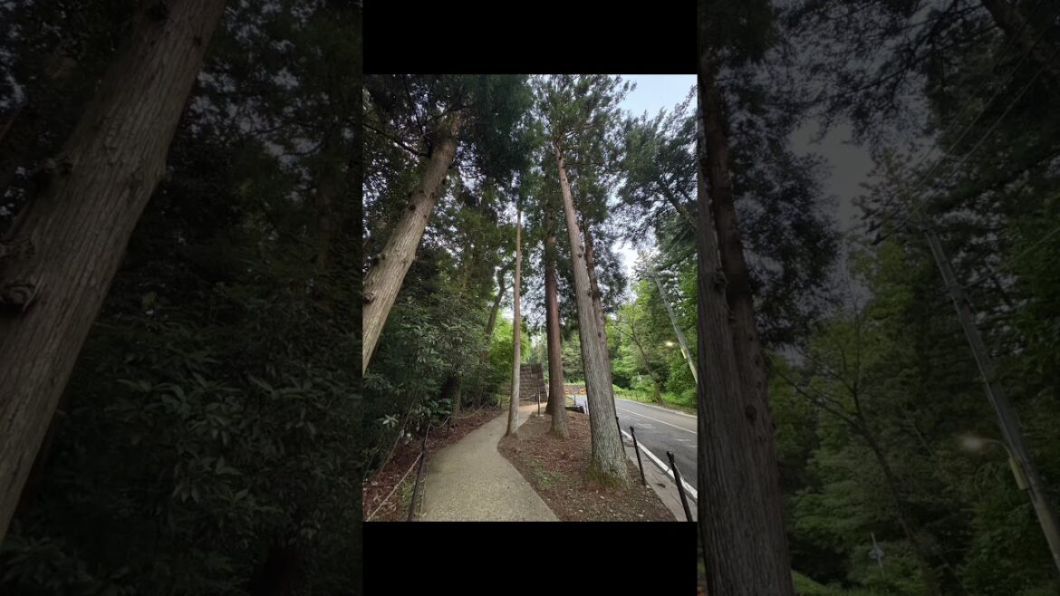 Sendai Castle Ruins #travel #japan #sendai #japanese #explorepage