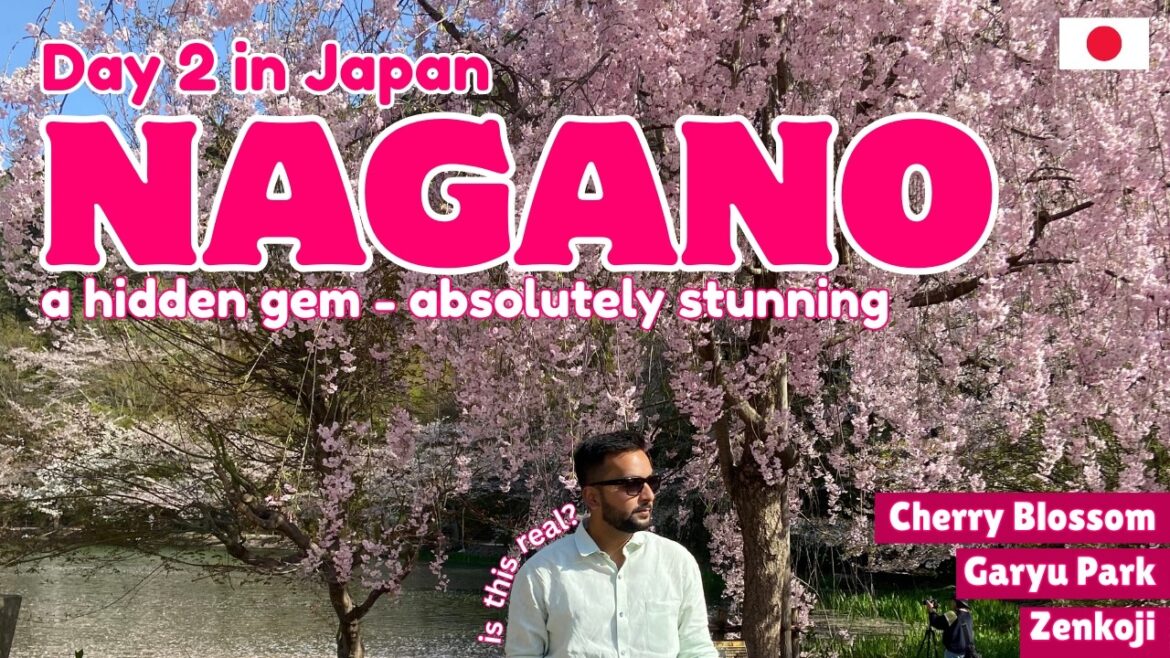 Magical Nagano - The Best Cherry Blossom | Day 2 in Japan Travel | Garyu Park, Zenkoji Temple