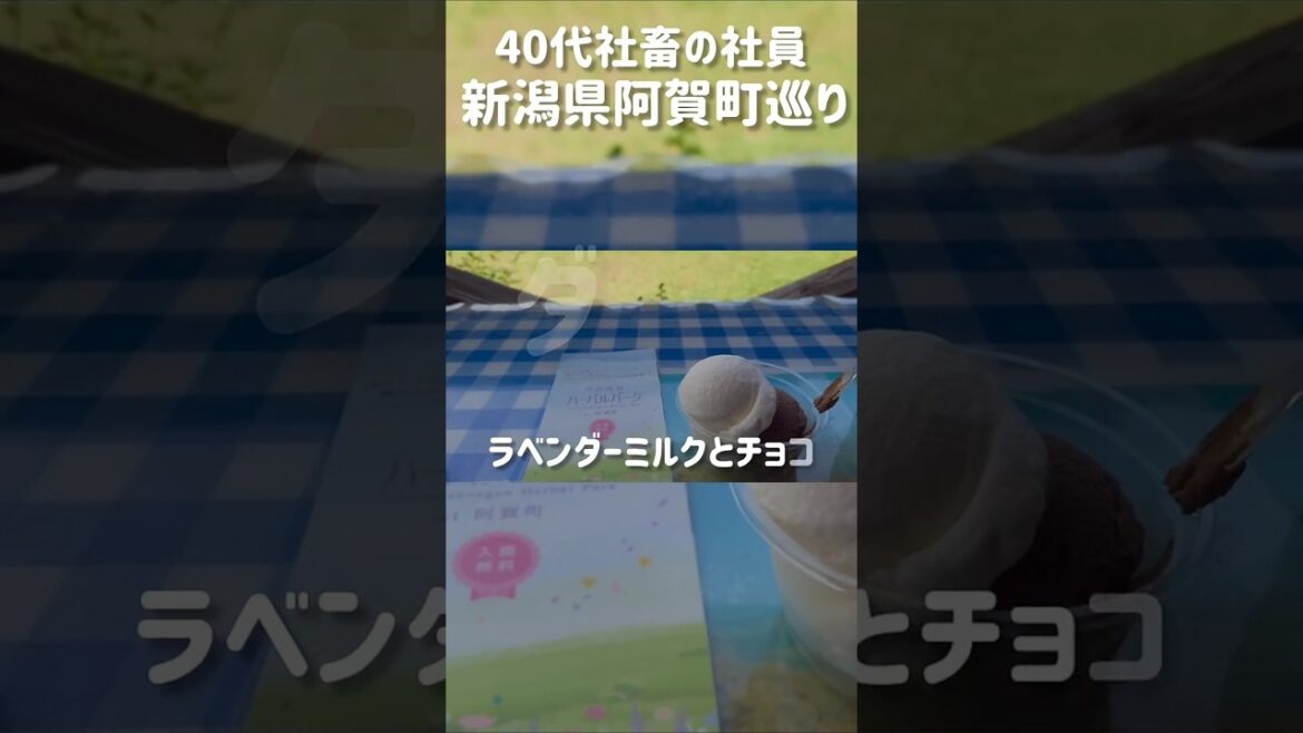 40代社畜の休日は新潟県阿賀町巡り！#絶望ライン工 #新潟 #阿賀町 #絶景 #niigata