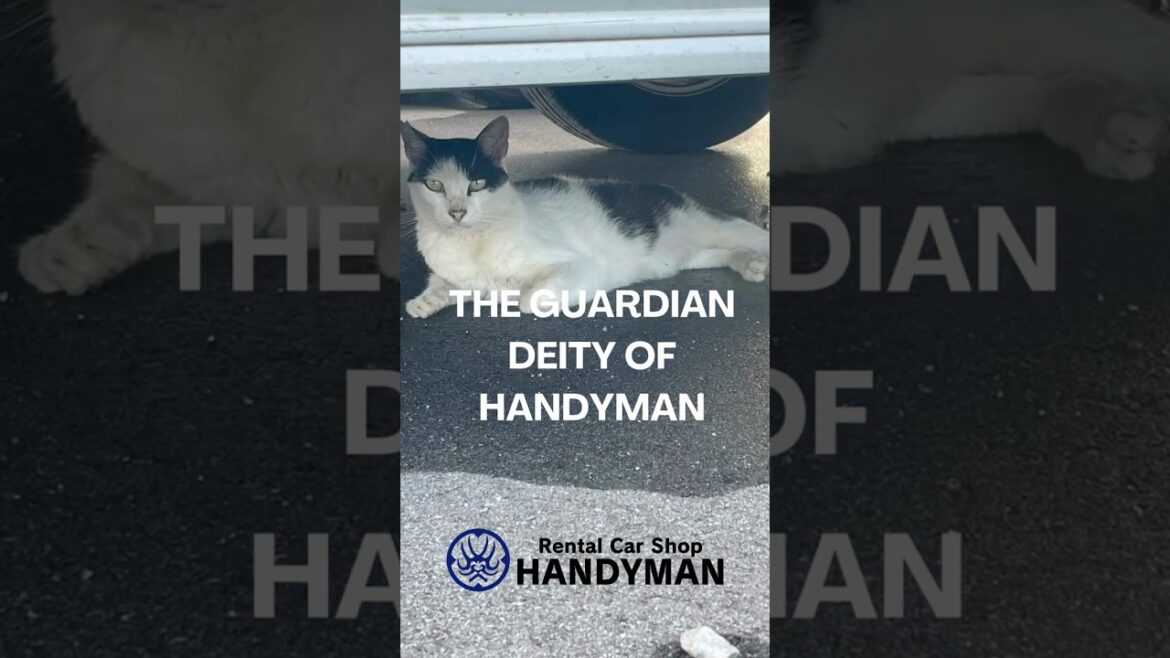 沖縄RentalCarShopHANDYMAN#沖縄#那覇#沖縄レンタカー#レンタカー#HANDYMAN#junglia #沖縄ドライブ#カーデリバリー#handyman#okinawatrip 沖縄RentalCarShopHANDYMAN#沖縄#那覇#沖縄レンタカー#レンタカー#HANDYMAN#junglia #沖縄ドライブ#カーデリバリー#handyman#okinawatrip