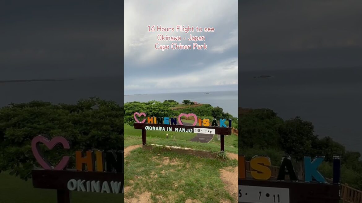 Okinawa Japan 🇯🇵 #okinawa #okinawaisland #japan #japanesefood #japantravel #viral #shorts #short