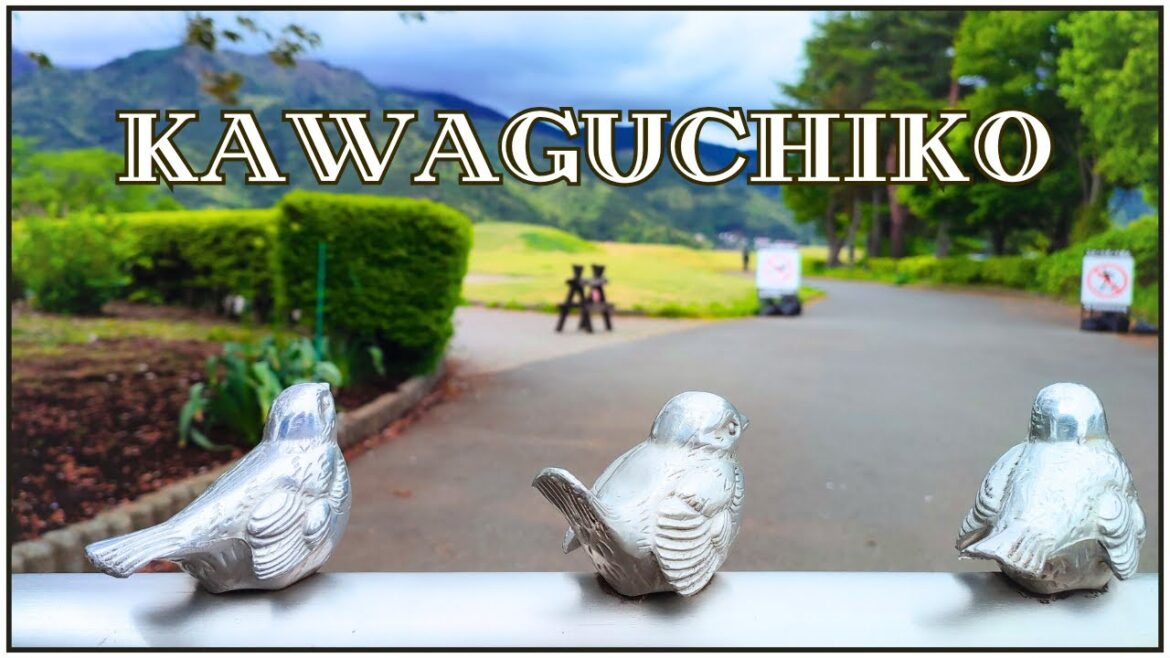 π―π΅ Japan Trip with my Husband | Kawaguchiko π―π΅ Japan Trip with my Husband | Kawaguchiko