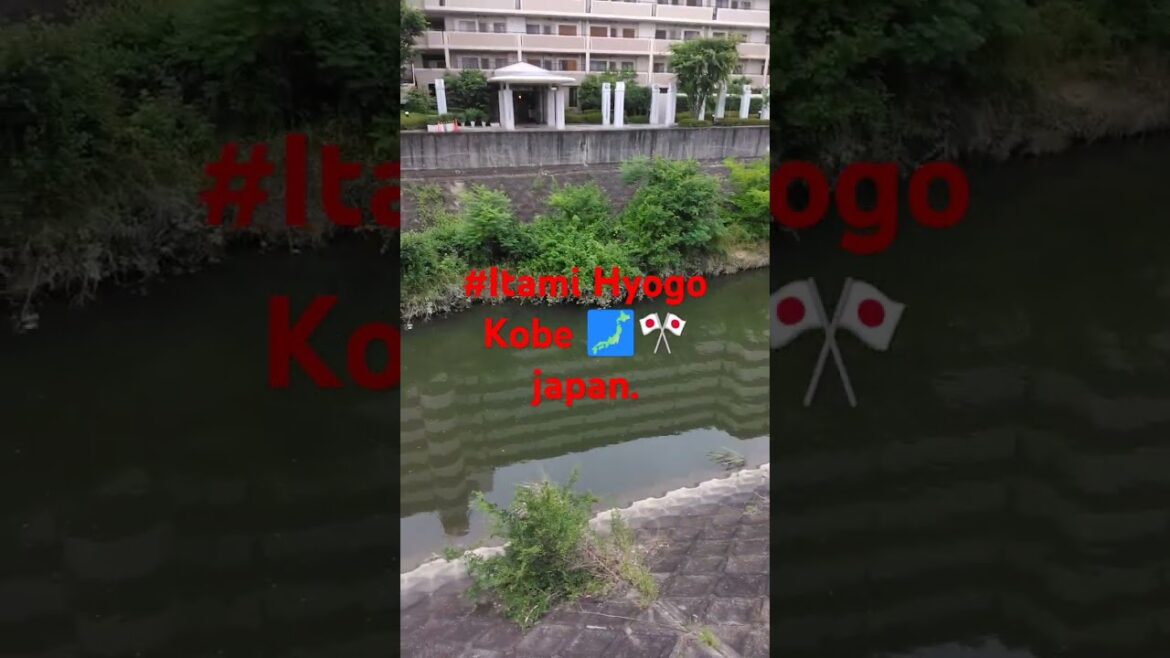 #Itami Japan 🗾🎌🗾