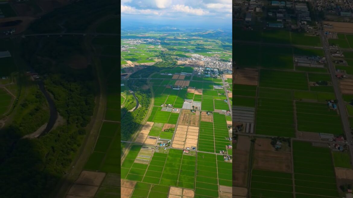 only #samsungs25ultra could capture this #worldtraveldelightsoriginal #japantravel #asahikawa #