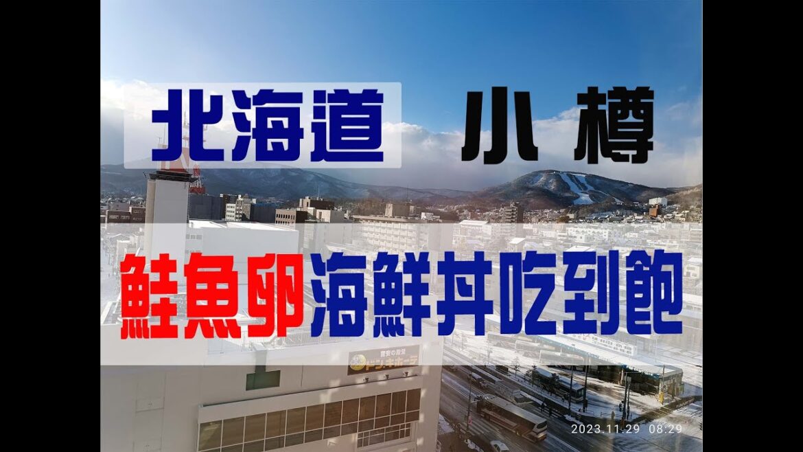 3-3 Day3 - Day4 北海道小樽 飯店早餐海鮮、鮭魚卵丼吃到飽